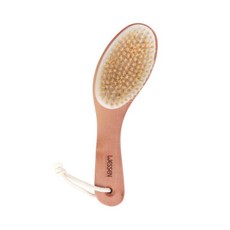 돈모건식바디브러쉬