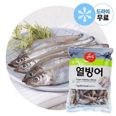 제이케이푸드 Y. 열빙어 1kg (드라이) 암컷 시샤모 시사모 구이 (약55마리), 1개