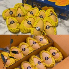 아이팝씨클