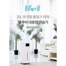 bhu0202w20