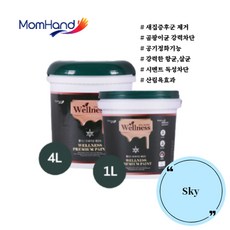 일라이트페인트