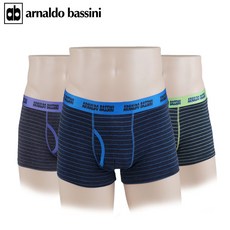 아놀드바시니캐리어