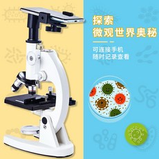 현미경표본제작