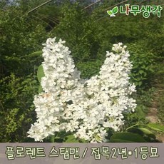 cf7031396b53cbb3714db9ed5cbe490d2e23abf4dda4564f69af1a06aa3d.jpg
