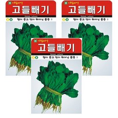 고들빼기 씨앗 씨 종자, 3개