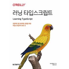 한빛미디어 러닝 타입스크립트, 없음
