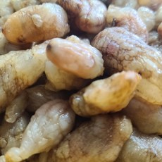 산지직송 오독오독 통영 오만둥이 1kg, 1개, 단품