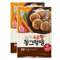 사조대림 육즙팡 동그랑땡 600g (300gx2봉), 300g, 2개