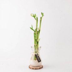 a708e014c61367081cf2306bce43cc8e99d5608d62ecd6949ea5ffb3c6e9.jpg