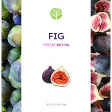 큐브형 동결건조 키위/호박/산딸기 15g, 1개