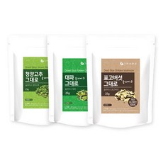 채고야500