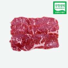 [고기파파] 무항생제 한우 암소 1등급 채끝, 1개, 300g