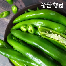 전라도 매운 풋고추 2.5kg 매운고추 산지직송, 1개