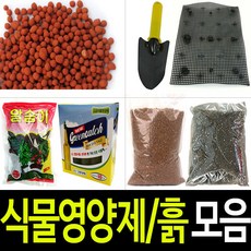 사카이마사토판매