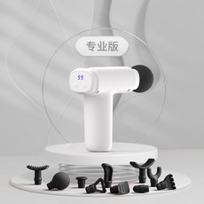 테팔스팀건