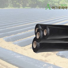 마늘멀칭비닐 TOP01