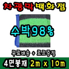 침대햇빛
