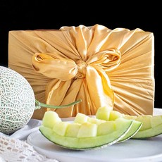 제주천혜향선물세트2호