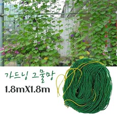 콩물거름망