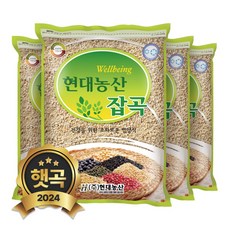 현대농산 국산 할맥 4kg (1kgx4봉), 4개