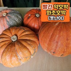 약호박 빨간호박 화초호박 관상호박 할로윈호박 잭오렌턴키트, 1박스, 3kg(2~3개)