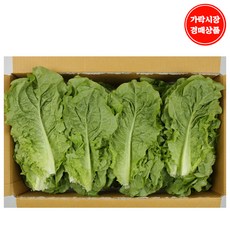 청상추4kg