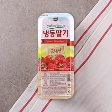 추천3 동서냉동딸기
