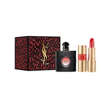 입생로랑브러쉬세트