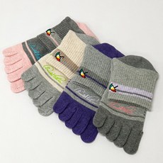 아놀드바시니발가락양말