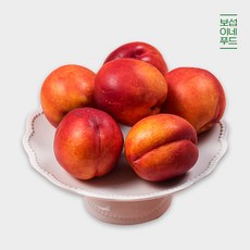 금홍천도복숭아