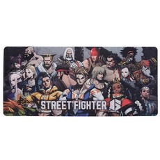 쿨러마스터 MP511 Street Fighter 6 장패드