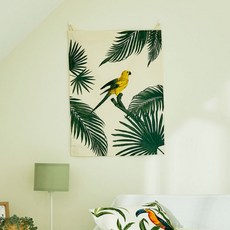 모던하우스그라피크