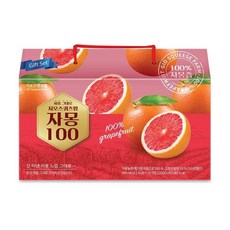 지오스퀴즈팜 직접짠 자몽 100ml*20입