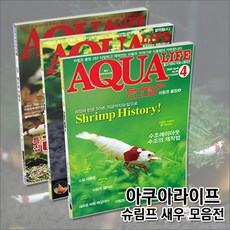 아쿠아라이프 새우, 17년8월