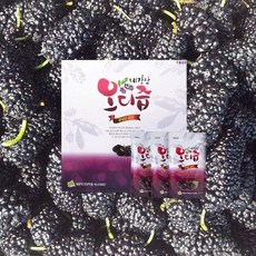 초록사랑 내장산 오디즙 오디액기스, 60포, 100ml