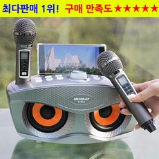 블루투스듀얼마이크