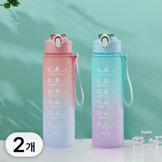 투데이리빙 2개입 세트 A타입 그라데이션 대용량 텀블러 빨대 쉐이커볼 포함 휴대용 원터치 쉐이크통 운동 헬스 아이스 쥬스 워터 물통 물병, 2개, 800ml, R98514A(혼합색상