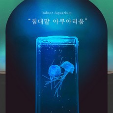 해파리무드등