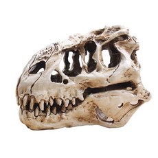 SanBeans T Rex Skull 공룡 수지 공예 선물 홈 장식 복제 물고기 탱크 동상 티라노 사우어 두개골(White), 1개
