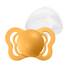 데니쉬스튜디오