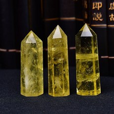 백수정나석