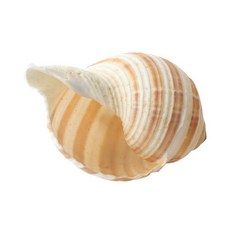 cf34c0bda28685cd02e627046e82c7b07ff3b74ce35175d92d9ace76e878.jpg