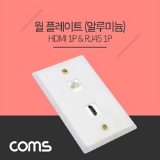 HDMI(1P) RJ45(1P) 월 플레이트(알루미늄), 본상품선택