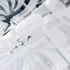 자카드로만쉐이드