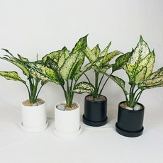 e2c760f2e983e83f208b4c9a549d254f3dd3f9286a2ce540ba124e8c4d40.jpg