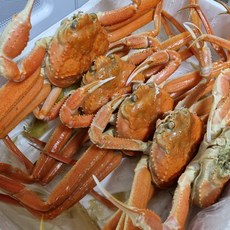 러시아 마가단 생물대게 활대게 울진 영덕 박달 시세 자숙, 1개, 800g