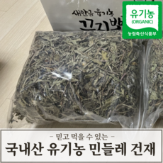유기농 한방 재료 건재 진액, 07) 유기농 민들레 (건조) 300g
