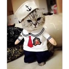 (관부가세포함) 애견코스튬 특이한 웃긴 강아지옷 Dog clothes with the money vibrato network Red Dress Teddy Bichon pet cat-623895485501, L횡포 한 데님 의상 (사전 판매 후 7 일 이내 배송