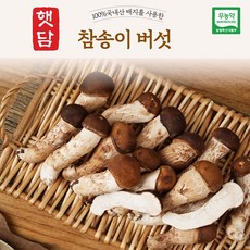 [3+1]햇담 참송이버섯 정품 특사이즈 최상급 농협에 납품하는 무농약 이천 참송이버섯, 1박스, 1kg(보자기포장)