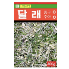 보람농자재 달래 종자 씨앗 [400g], 1개